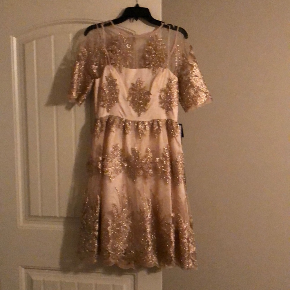 Blush/Gold Cocktail Dress